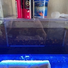 120㎝オリジナリ上部濾過とレイシーたて形ポンプP425セット