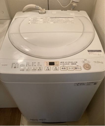 【10月下旬お引き取り希望‼️】SHARP 7kg洗濯機