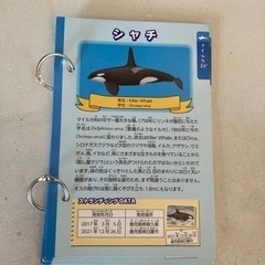 鹿児島イオワールドのクジラの冊子？