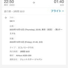 【ネット決済・配送可】【お話中】台湾に行きたい方いませんか…片道券です