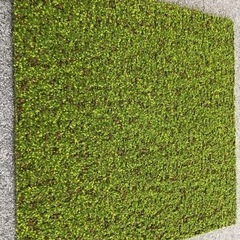 【受渡し決定】使用済みタイルカーペット（緑）