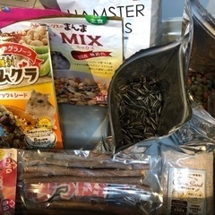 9月末まで‼️ハムスターお食事セット６点(使用品)