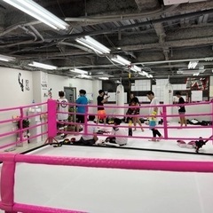 パーソナルキックボクシングジム　無料体験実施中 − 神奈川県