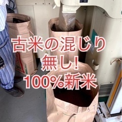 新米　玄米３０kg  茨城県産　令和5年産　コシヒカリ