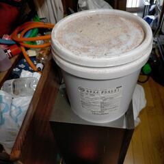 キクスイグラストsi×6