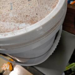 キクスイグラストsi×6