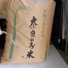令和5年産　新米　ヒノヒカリ玄米30kg