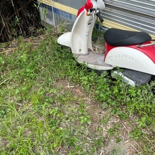 原付