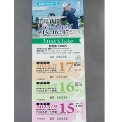 山陽レディースカップチケット