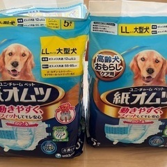 大型犬オムツ