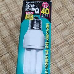 蛍光ランプ