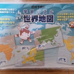 佐鳴予備校 学習パズル 世界地図