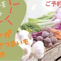 【先行予約開始】旬の秋野菜セット【東温市で栽培】