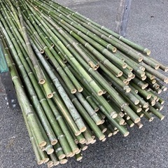まだ受付中　無料　青竹の端材　一山50本くらい　柵を作るのに最適