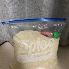 コシヒカリ　米　5kg