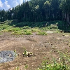 中之条町　1ha山林販売 − 群馬県