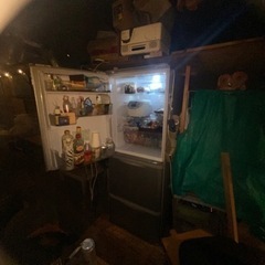 早い者勝ち。シャープ2020年両開き冷凍冷蔵庫