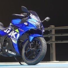 【ネット決済】1/18までGSX-250r 2020年式 自賠責あり！