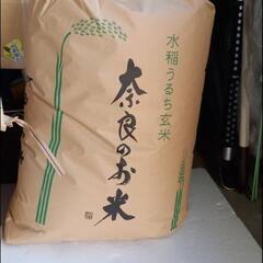 8,000円令和5年産　新米　ヒノヒカリ玄米30kg 9月に刈り入れ