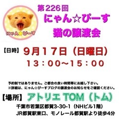 9月17日(日)🌸にゃん☆ぴーす猫の譲渡会🌸「アトリエTOM」J...