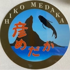 彦めだか　9月14日　秋のはじめの販売会