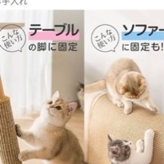 猫の爪研ぎ2点