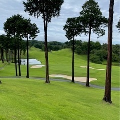 ゴルフ仲間募集⛳️