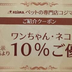 ペットのコジマ　割引券　クーポン