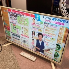 2017年製 ドウシシャ テレビ　SDN32-W31 32インチ