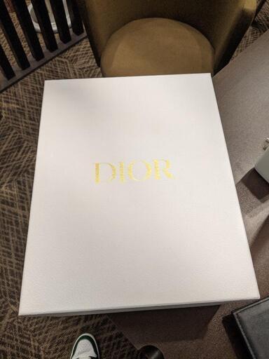 DIOR レディディオール　ミディアム　レザー　本日のみ