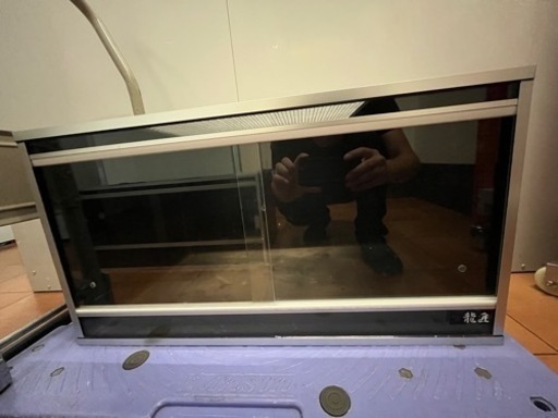 爬虫類ゲージ