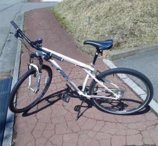 マウンテンバイク GT 29er