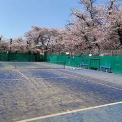 若干名募集！立川近辺・昭島市、昭和公園コート でソフトテニス