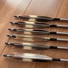 弓道の矢　6本と矢筒（バット入れ）セット
