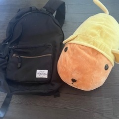 リュックサックとぬいぐるみ