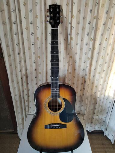 HONEY BEE　HJ-18/TS　アコースティックギター 入門セット