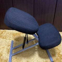 バランスチェア 姿勢矯正椅子 腰痛対策 out-EEX-CH15...