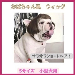 小型犬 ハロウィン コスプレ ペット ウィッグ 仮装 犬 ワンちゃん