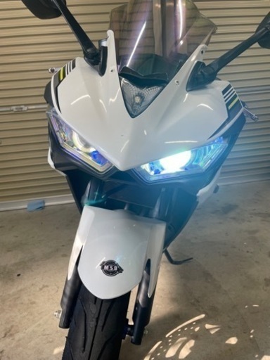 YZF-R25 カスタム豊富