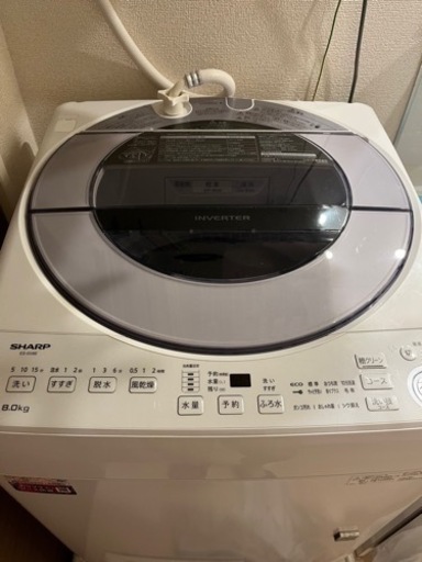 SHARP 全自動洗濯機