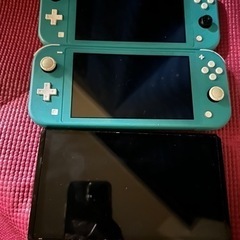switch、switch liteまとめ売り　※ジャンク品 Switch lite ジャンク品 ジャンク品】充電器付きNintendo Switch Lite