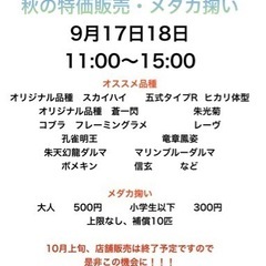 翔真、秋の特価販売とメダカ掬い😊