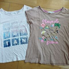 H&M Tシャツ２枚組  ガールズ 134/140cm