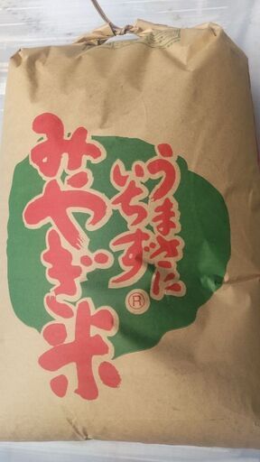 新米令和5年産東北194号(ササ結) 玄米 30kg