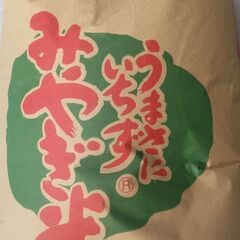 新米令和5年産東北194号(ササ結) 玄米 30kg