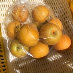 新興梨　1袋2kg 梨