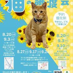 『とらちゃん本舗保護猫譲渡会』さいたま市岩槻9/17