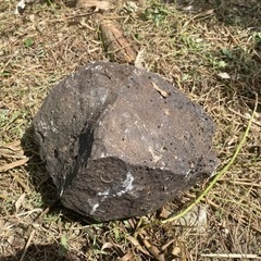 隕石？造園屋のヤードにある石