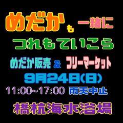 めだかも一緒につれもていこら　フリーマーケット