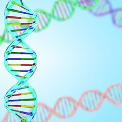 DNA(父子)鑑定代行【サレ夫探偵社】の画像